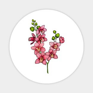 orchid flowers branch Magnet